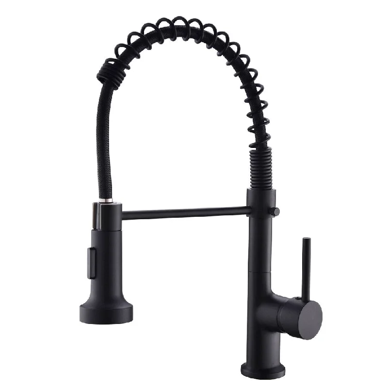 2-Function 1-Handle Pulldown Black Kitchen Faucet - 7.87*3.9*16.1