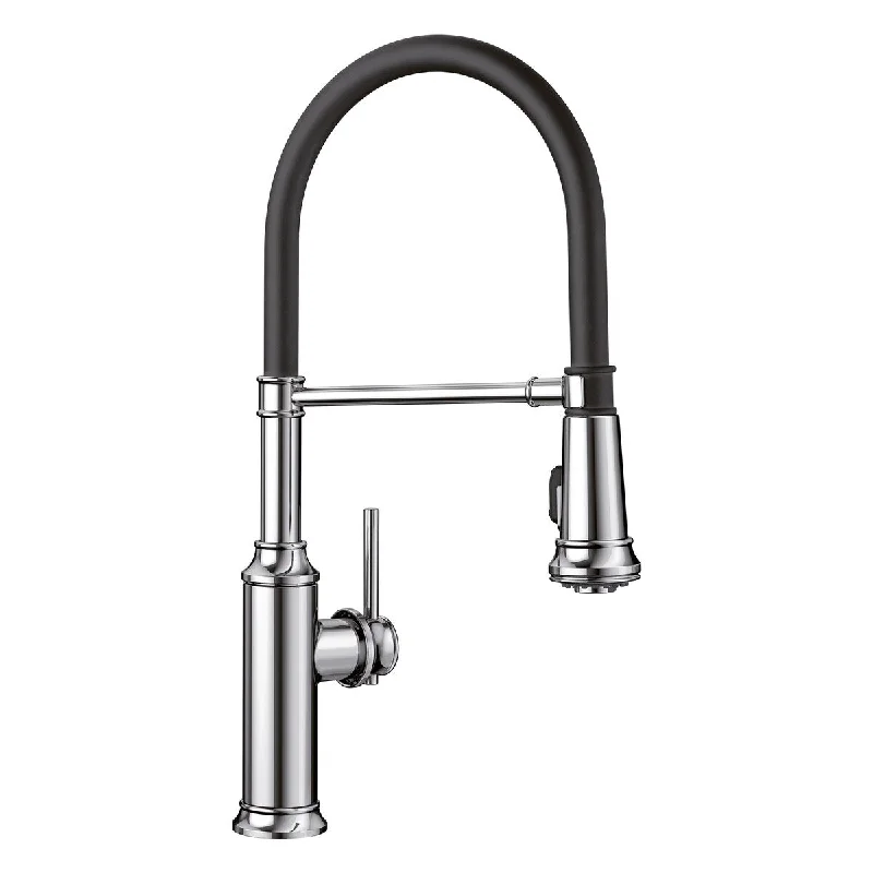 Blanco Empressa 1.5 GPM Kitchen Faucet