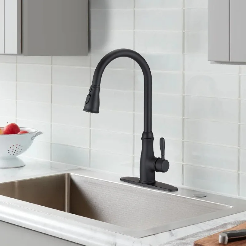 DORNBERG Pull Down Kitchen Sink Faucet with Pull Out Sprayer