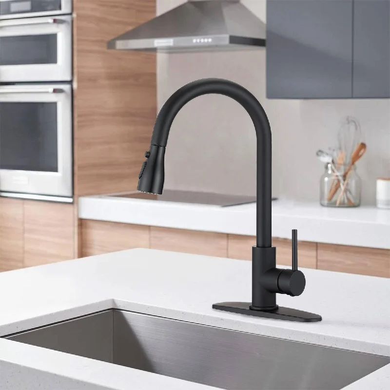 DORNBERG Single Handle Kitchen Faucets with Pull Down Sprayer