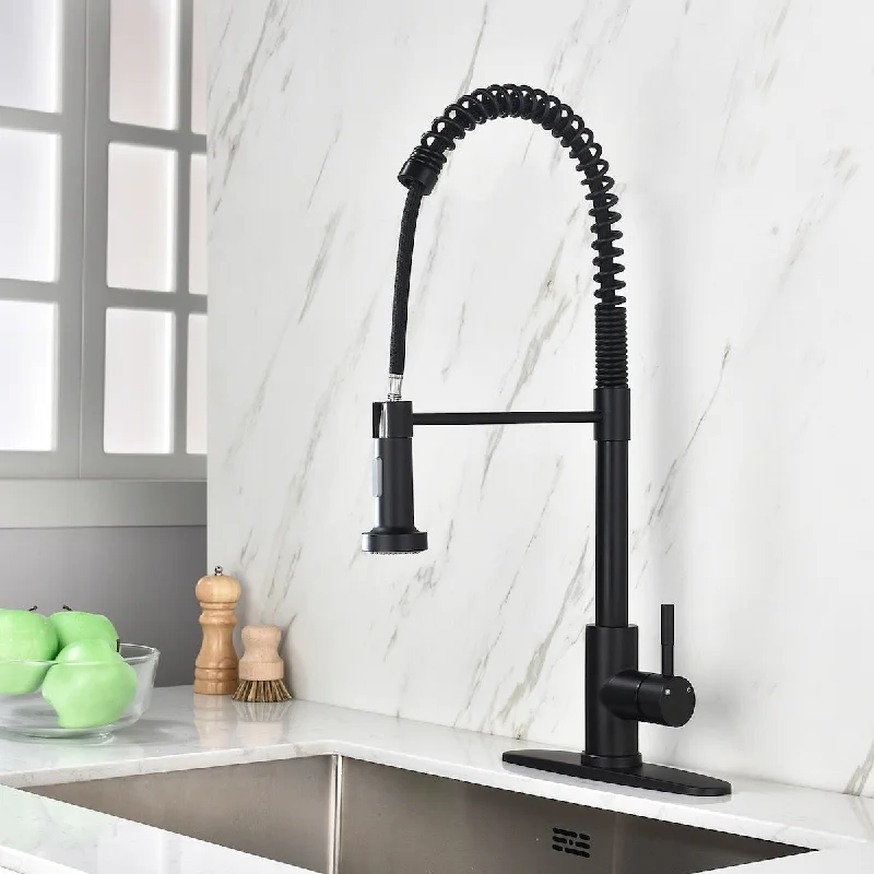 European style pull out kitchen faucet with spray head