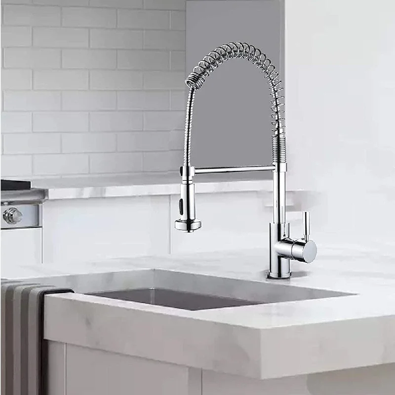 Foreman' Single Handle Kitchen Faucet in Polished Chrome