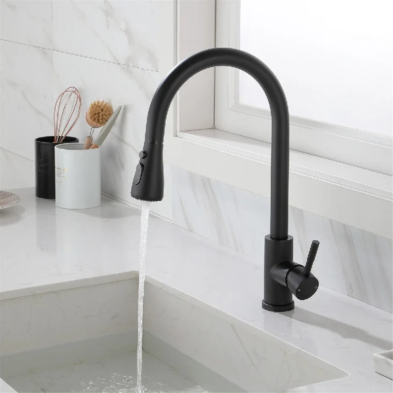 GZMR Kitchen Faucet with Pull Out Spraye