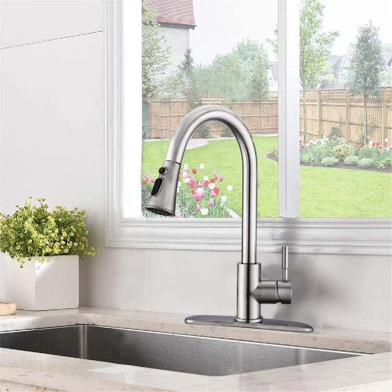 GZMR Pull Down Single Handle Kitchen Faucet