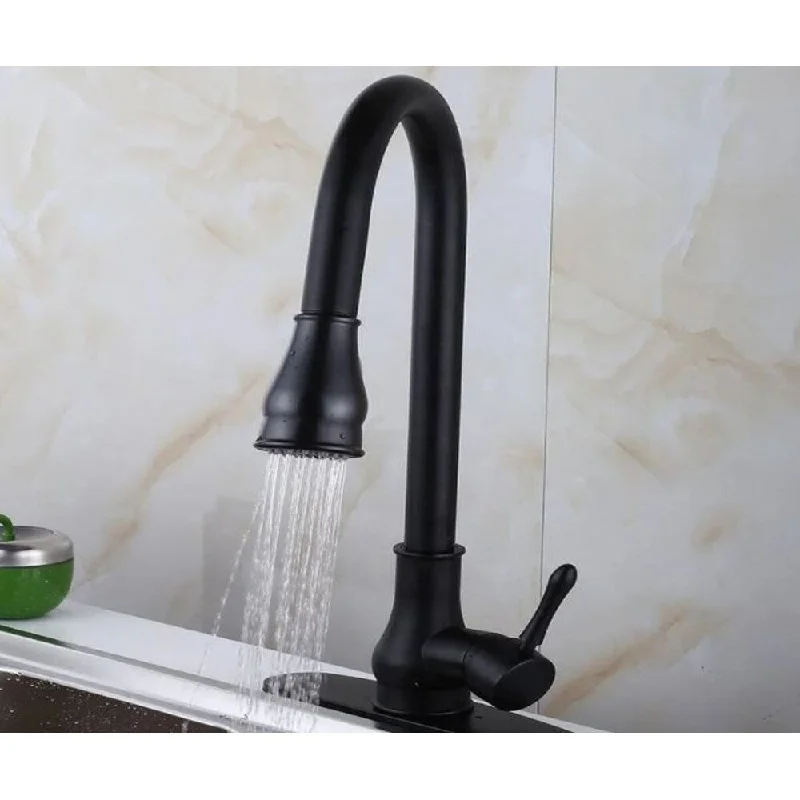 Hazara HZR-1024 Single Hole Brass Kitchen Sink Faucet with Round shape in Black color - 9'6" x 13'