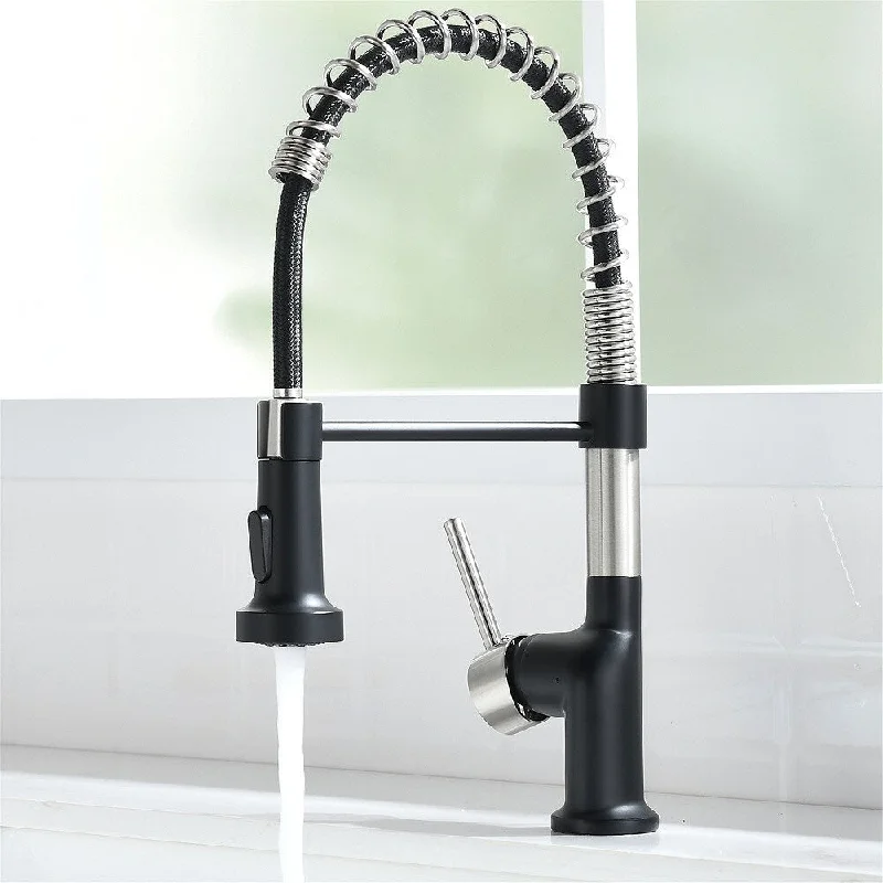 Kitchen Faucet w/ Pull Down Sprayer,Single Handle Kitchen Sink Faucets