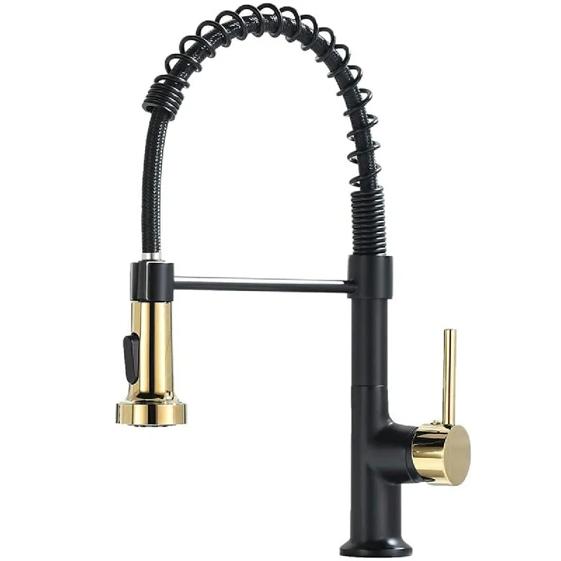 Kitchen Faucet with Pull Down Sprayer, Spring Kitchen Sink Faucet