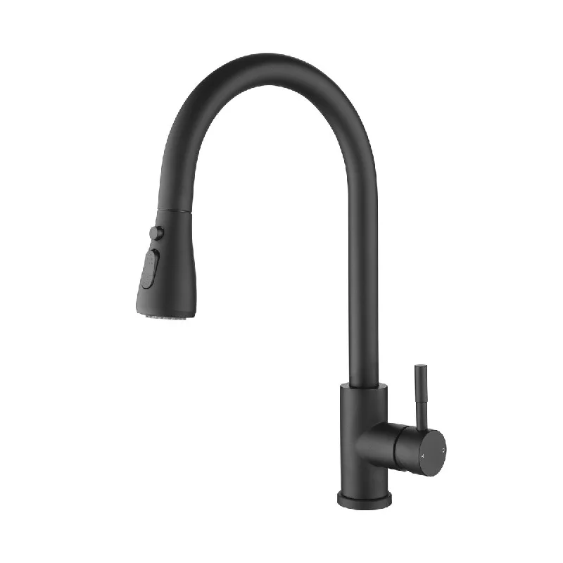 Kitchen Faucet with Pull Out Spray