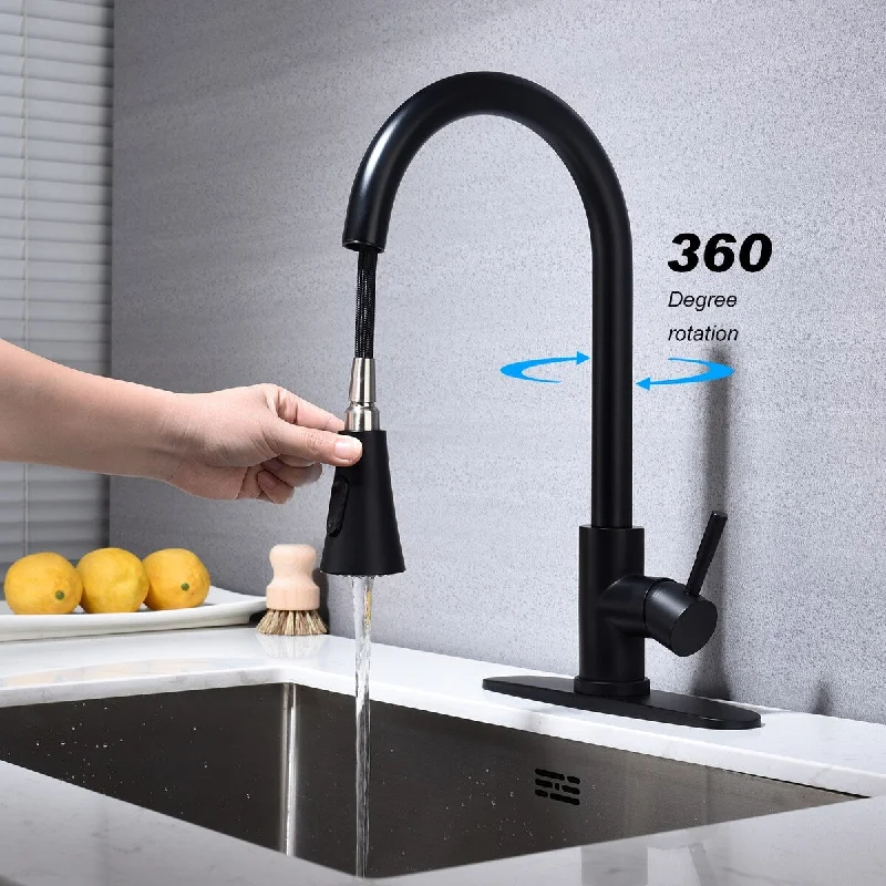 Kitchen faucet with pull out spray head