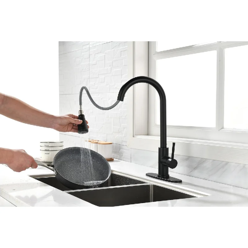 Kitchen Faucet with Pull Out Spraye