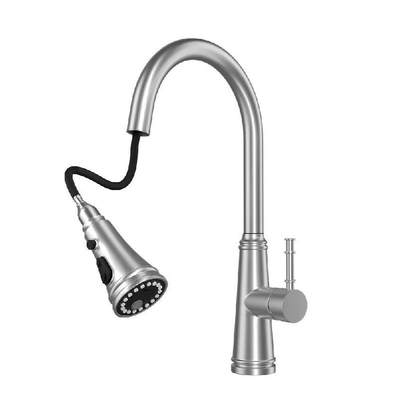 Kitchen Faucet with Pull Out Spraye High Arc Single Handle - 9.25*2.3*17.5 inch