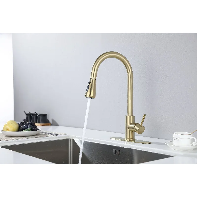 Kitchen Faucet with Pull Out Spraye Modern Brass Pot Filler Two-Attachment Wall Mount