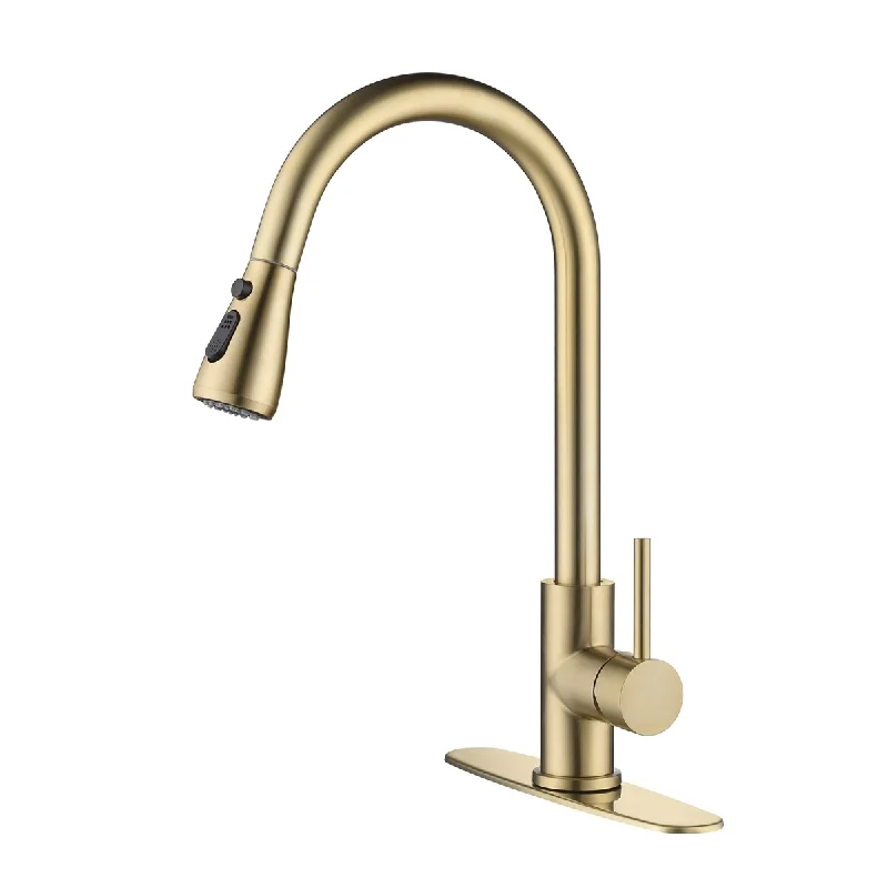 Kitchen faucet with spray head