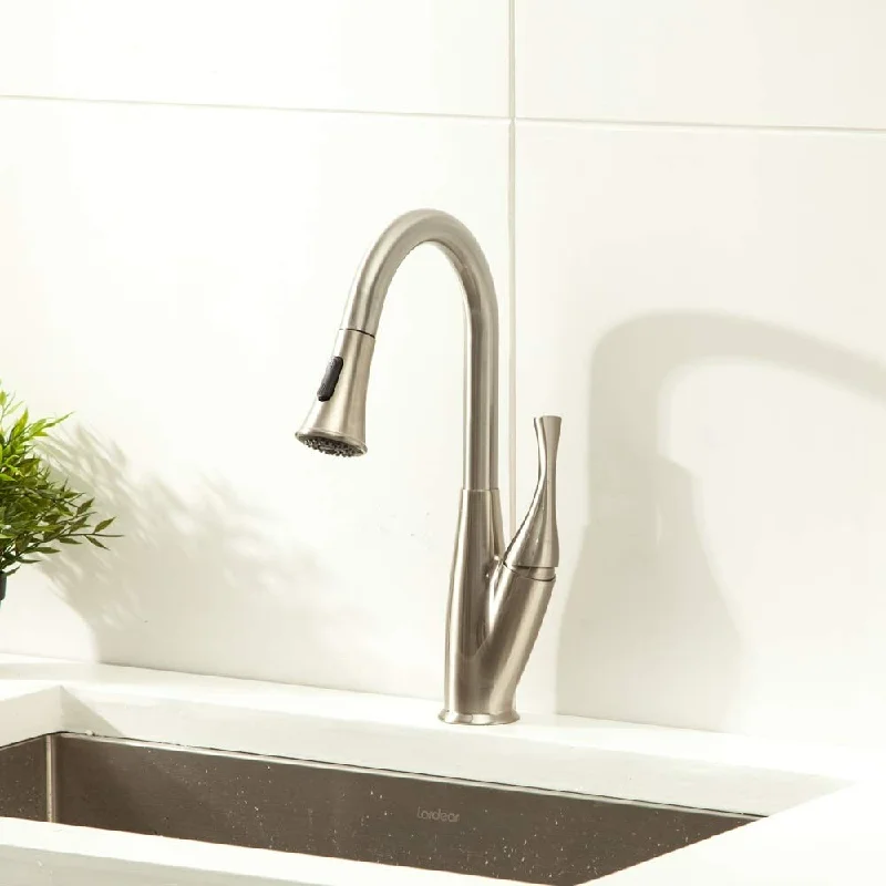 Lordear Pull Out Kitchen Sink Faucet with Sprayer