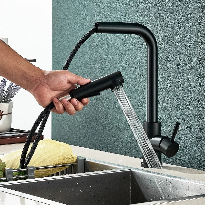 Matte Black Kitchen Sink Faucet