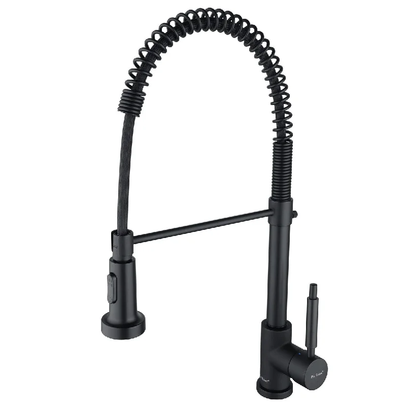 Matte Black Pull-down Kitchen Faucet