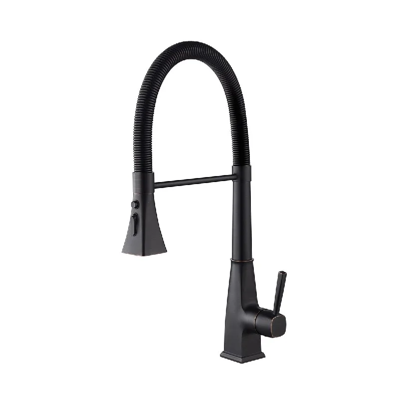 Modern kitchen faucet with pulldown spray head