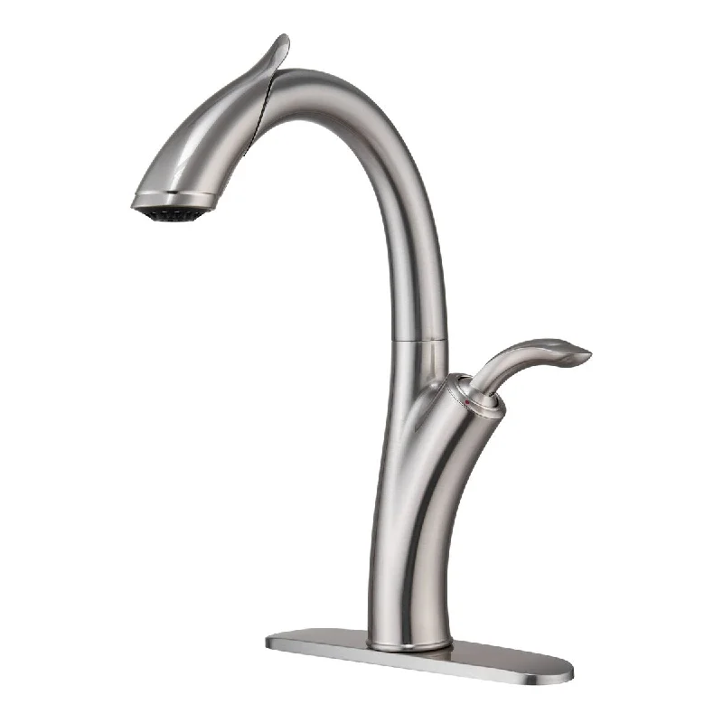 pull down kitchen faucet