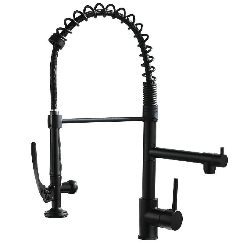 Pull Down Kitchen Faucet with Sprayer Matte Black Kitchen Sink Faucets