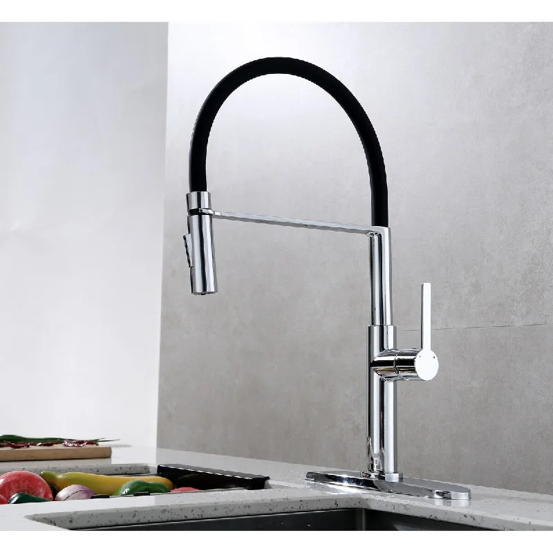 Pull Down Single Handle Kitchen Faucet