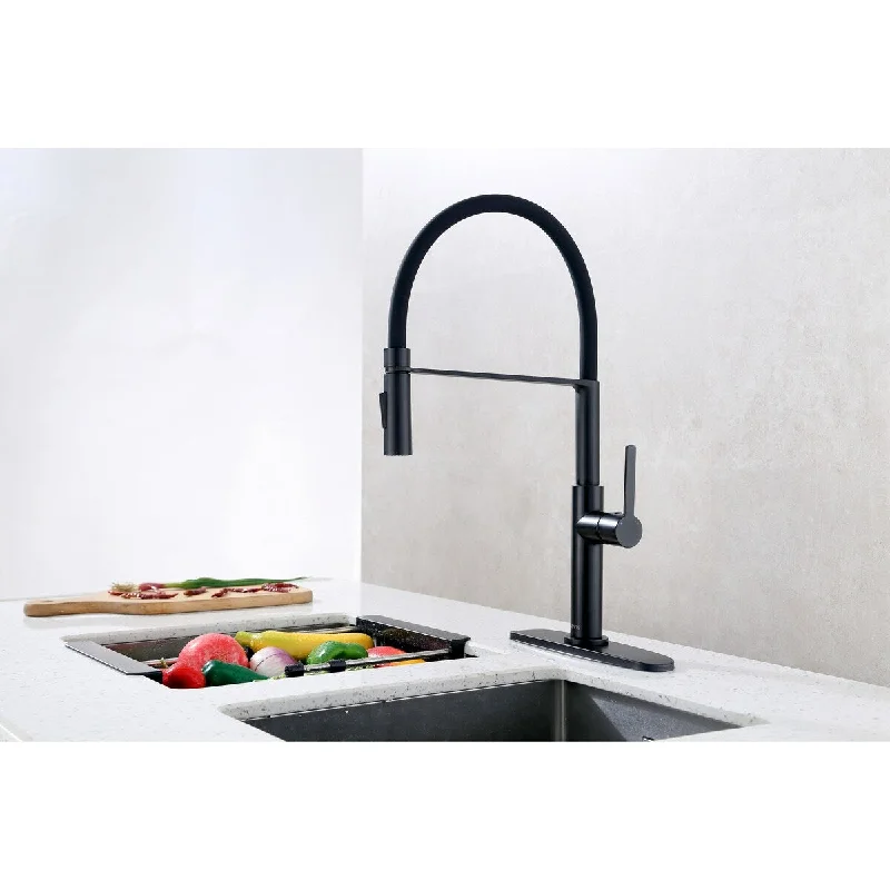 Pull Down Single Handle Kitchen Faucet