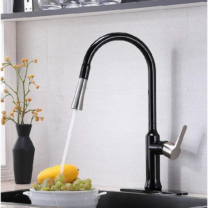 Pull Down Single Handle Kitchen Faucet with Accessories - 13*8*2