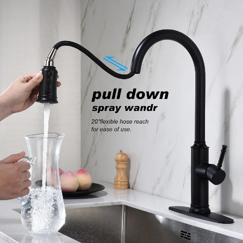 Simple kitchen faucet with pull down spray head