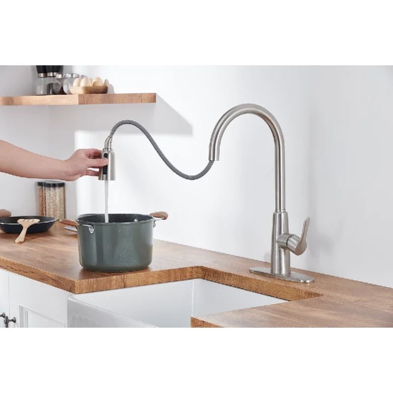 Single Handle Kitchen Faucet High Arc Pull Out Design with Sprayer