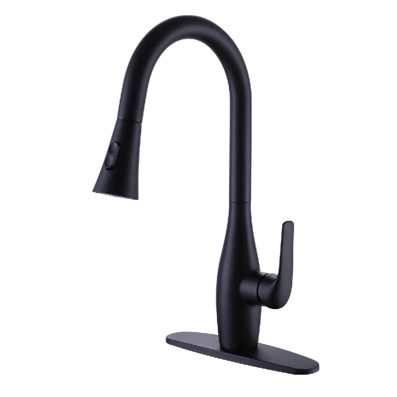 Single Handle Pull Down Kitchen Faucet With Deck Plate