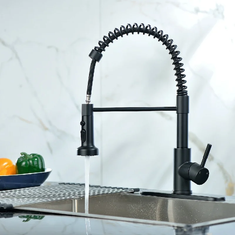 Single Handle Pull Down Sprayer Kitchen Faucet