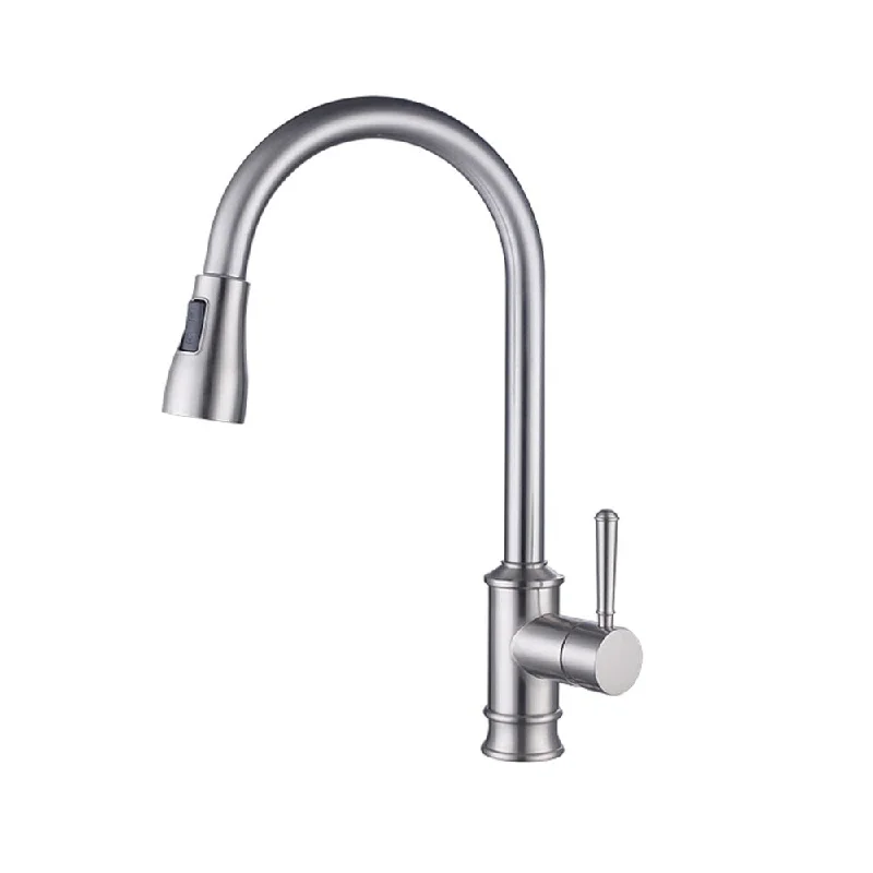 Single Handle Pull out Kitchen Faucet