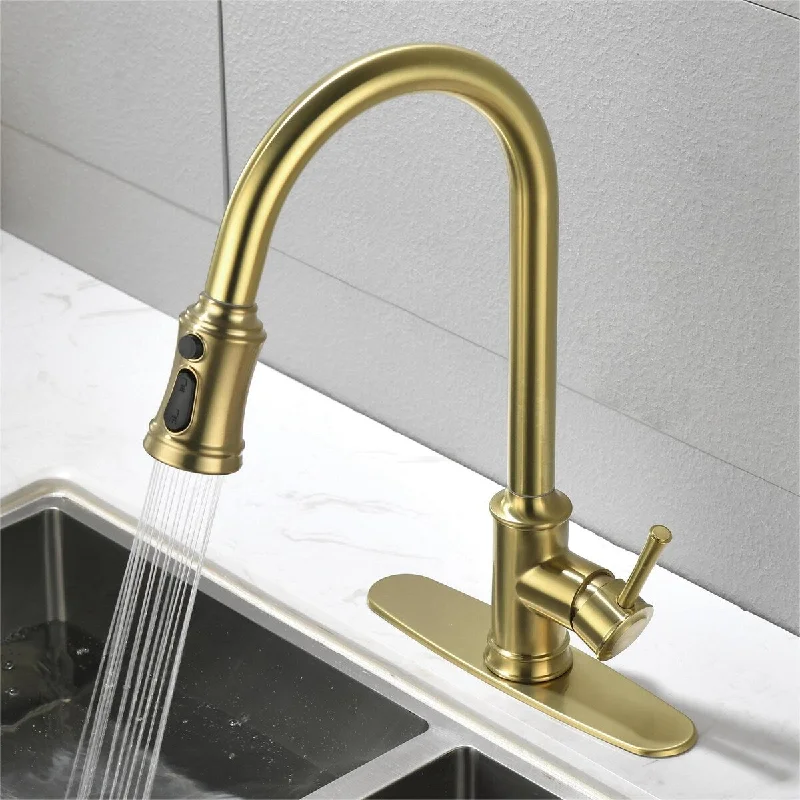 Single Level Stainless Steel Kitchen Sink Faucets with Pull Down Sprayer