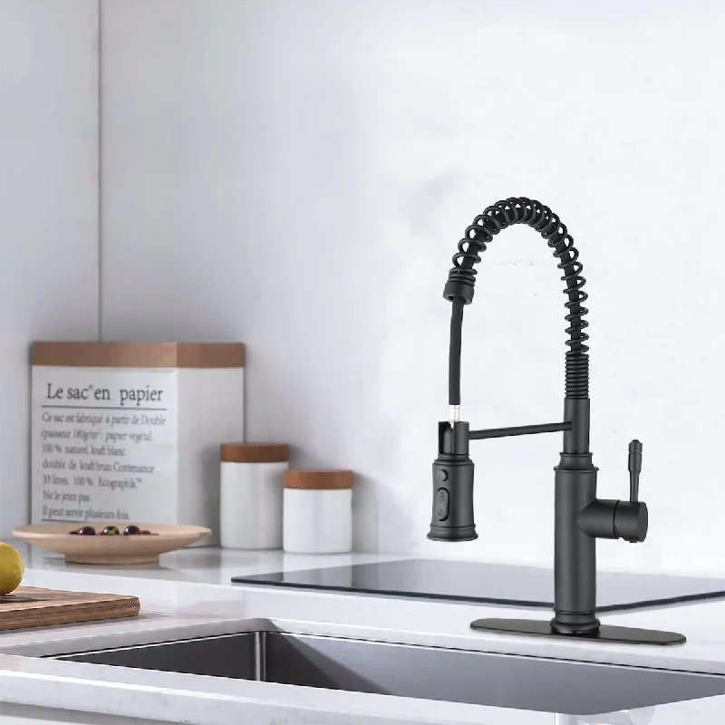 Touch Kitchen Faucet with Pull Down Sprayer Black