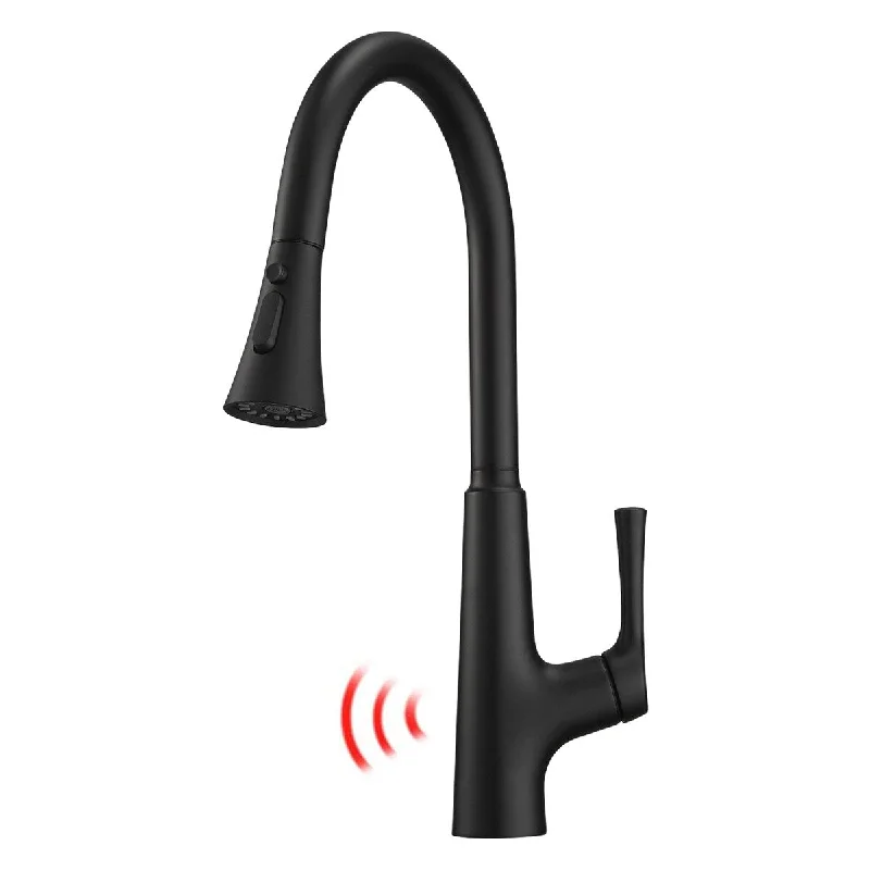 Touchless Kitchen Faucet,Black Kitchen Faucets with Pull Down Sprayer